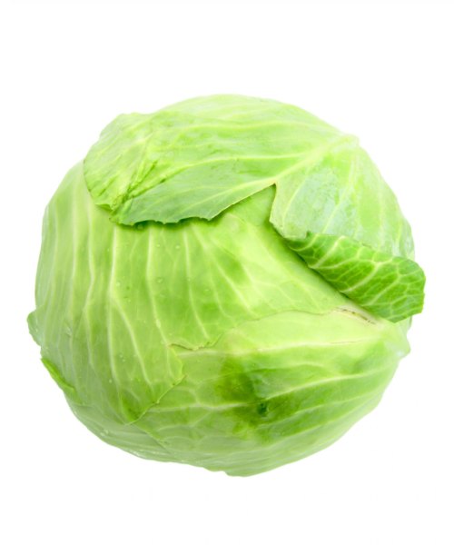 Капуста
